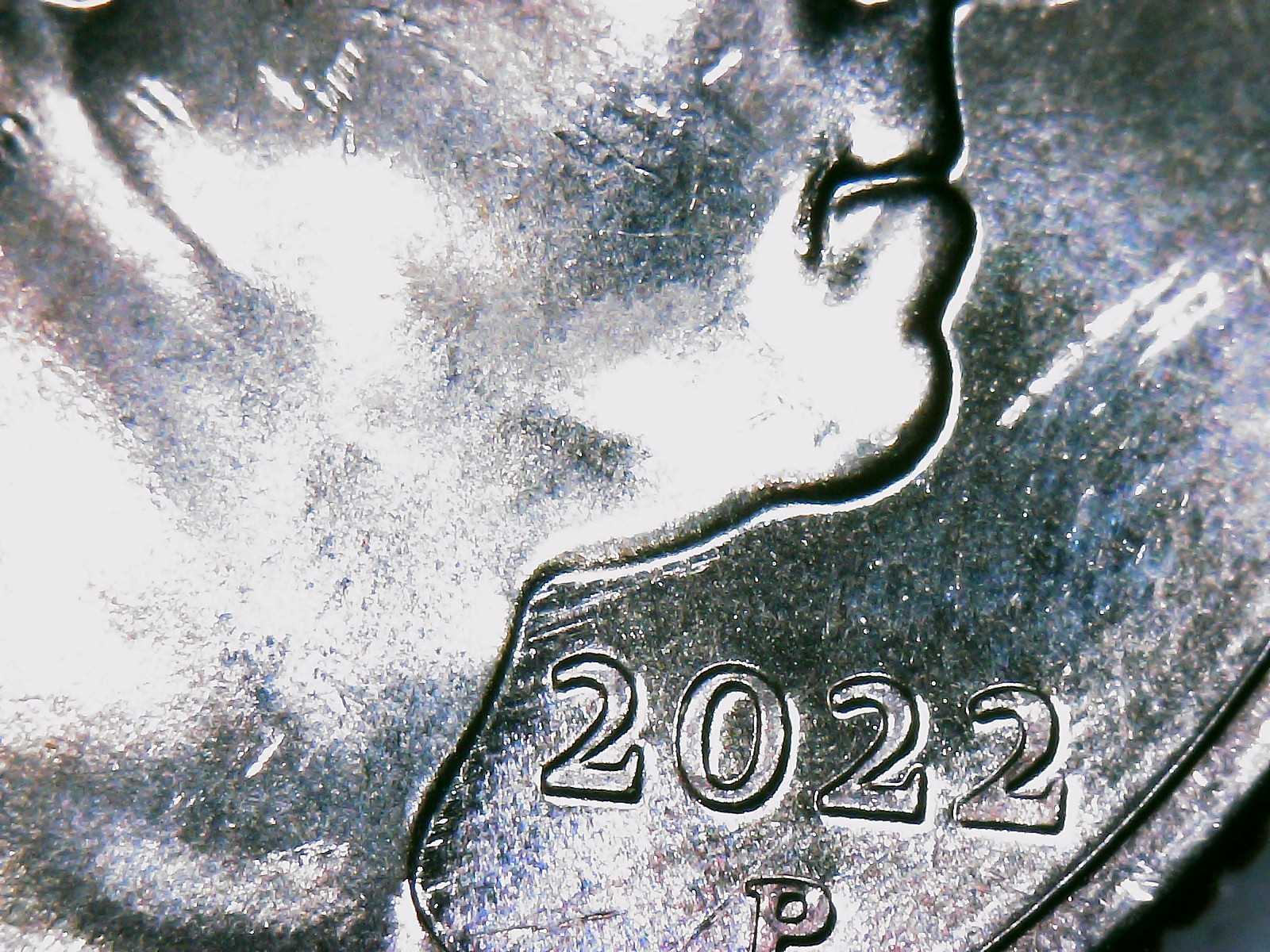 2022-P-Quarter-Maya-Angelou,-Possible-Feeder-Fingers?