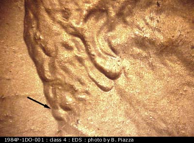 Need-Help-With-1984-Lincoln-Cent---Some-Type-Of-Ear-Doubling?