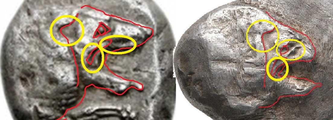 Interesting-Moray-On-A-Stater