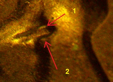 1952-D-LWC-Possible-RPM-&-Doubled-Eye?