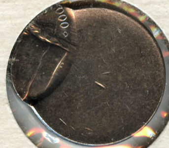 Yet-Another-Forum-Game---Numismatic-Go-Fish!