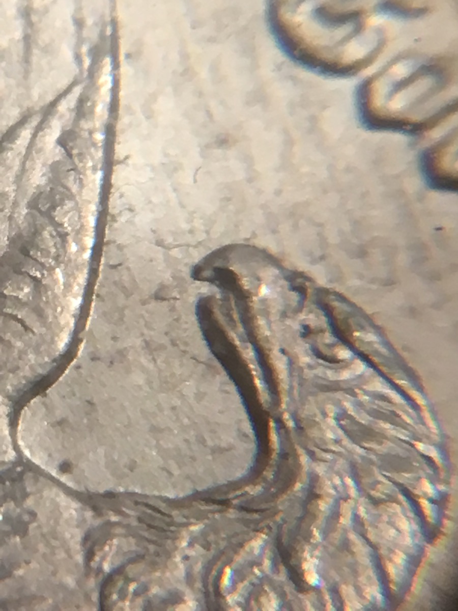 1891-CC-Morgan-For-Grading-Spitting-Eagle?