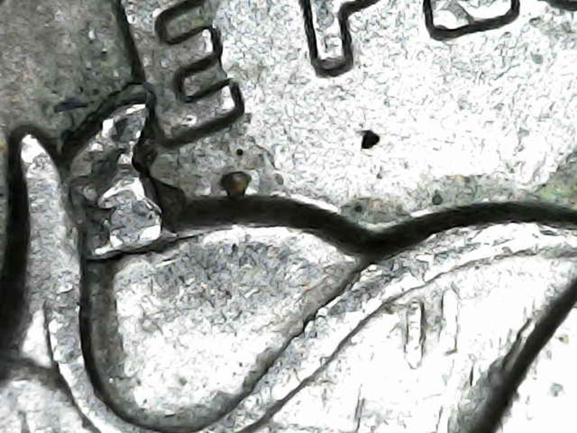 New-To-Coin-Hunting-&-Found-4-Error-Coins-In-1-Day!-Need-Help-Verifying-My-Finds