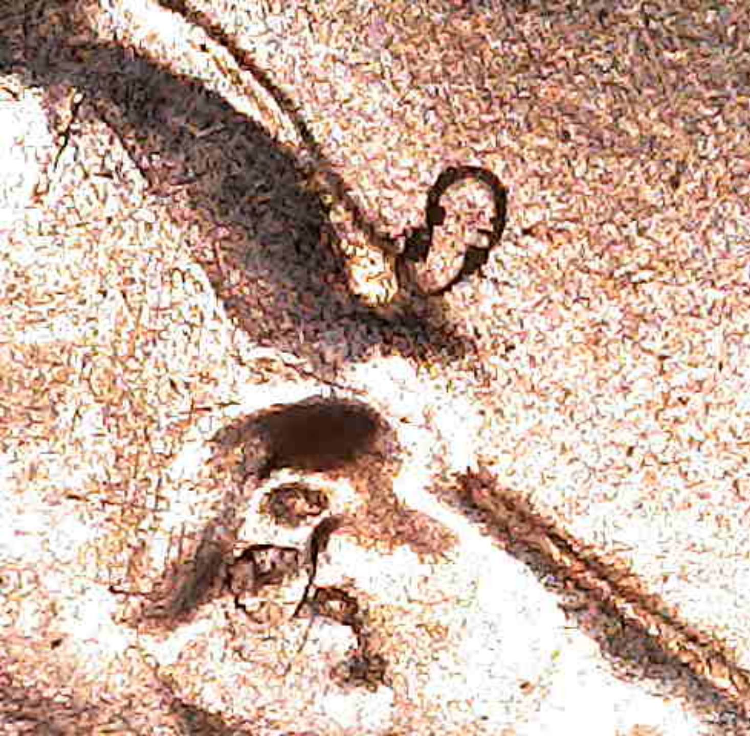 2022-Lincoln-Cent-Die-Chip-Monster-!-Help-Me-Confirm-?