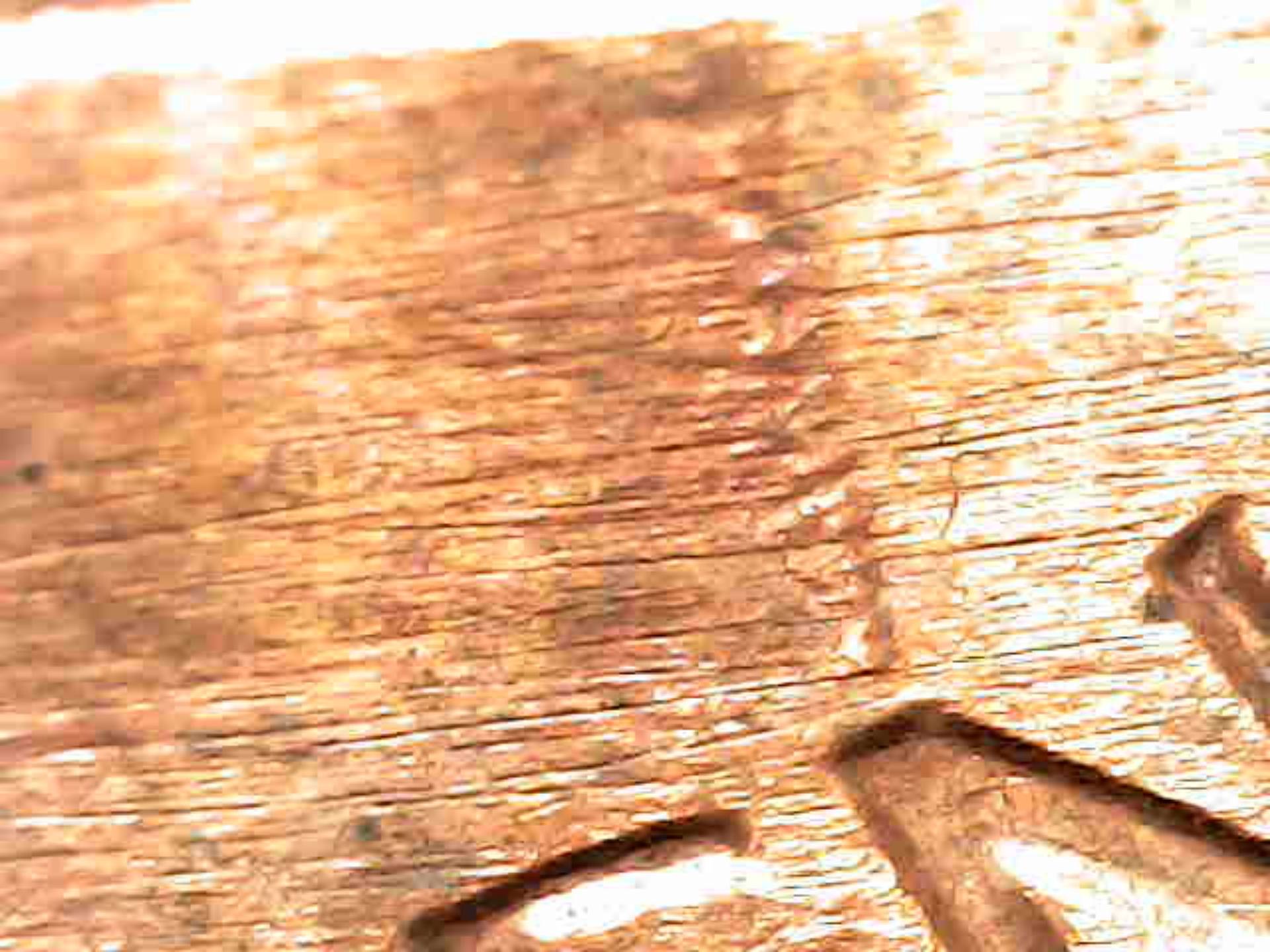 Can-Someone-Tell-Me-What-Is-Wrong-With-This-1983-Lincoln-Cent-?