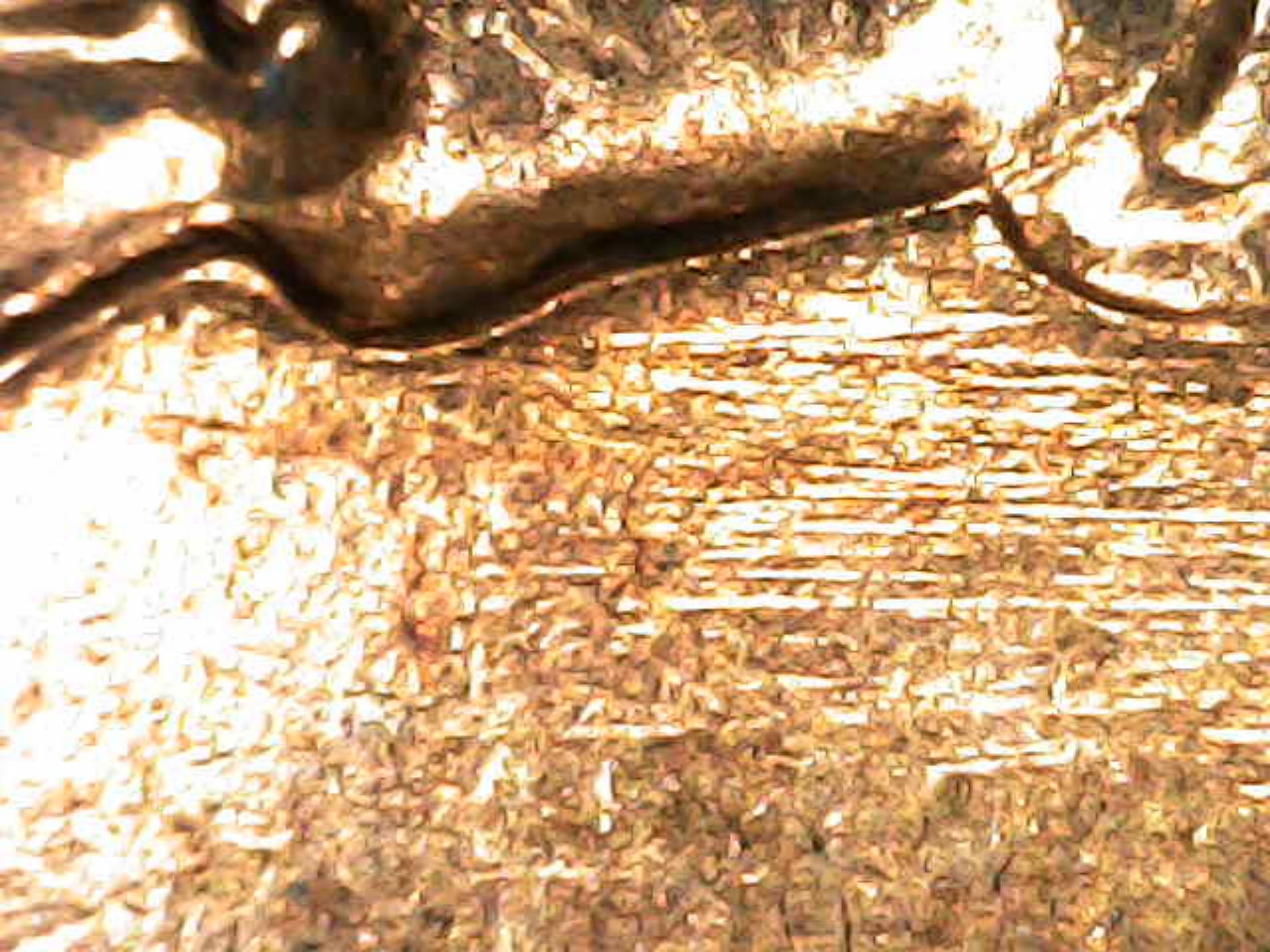1961-D-Lincoln-Cent-Found-In-Old-Bankroll.-Possible-90°-Die-Clash-On-Obverse.-Can-Anyone-Help-Me-CO?
