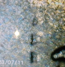 1973-D-Kennedy-Half-Dollar
