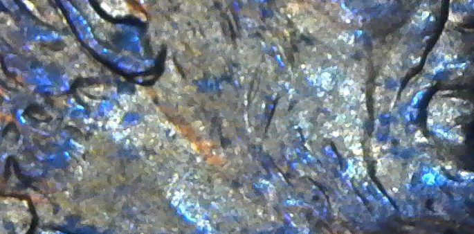 1999-LMC-Double-Ear?-Help-Please
