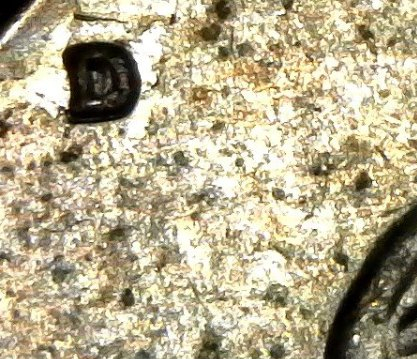 1968-D-Kennedy-Half-RPM?-Help-Please