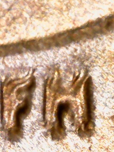 2023-D-Penny-DDO-On-Reverse-With-Fingerprint-On-Obverse