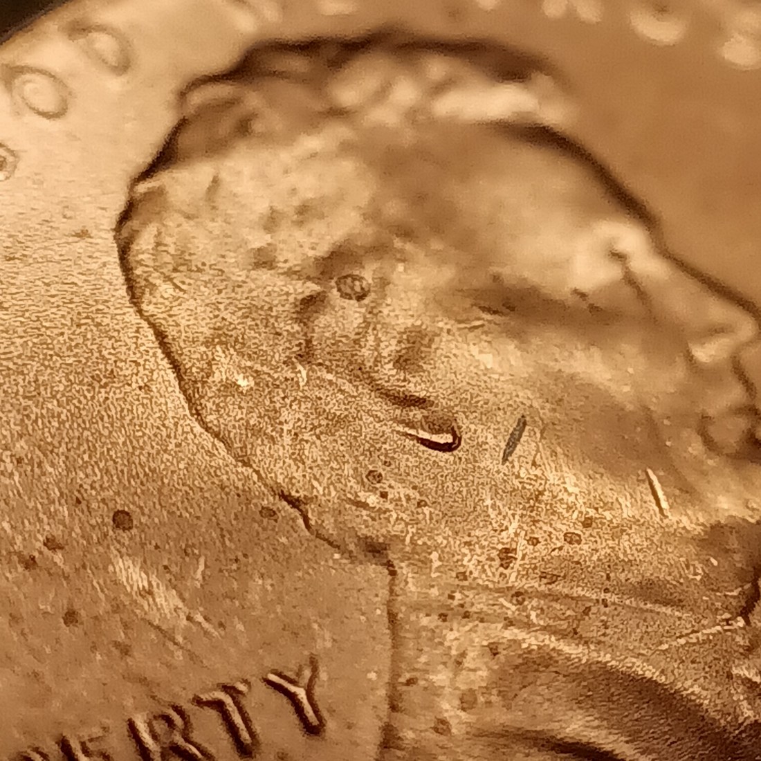 2023-D-Lincoln-Shield-Cent-Double-Ear?