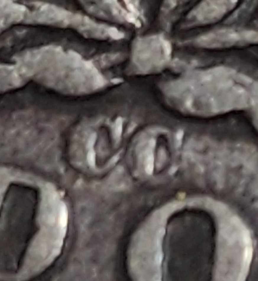 1893-CC-Morgan-Dollar,-I-Assume-This-Is-Fake