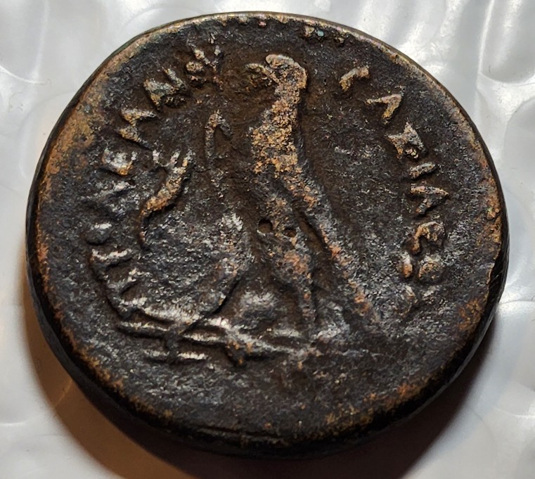 Thoughts-On-Ptolemy-III-Zeus-Eagle-Coin---Tourist-Copy?