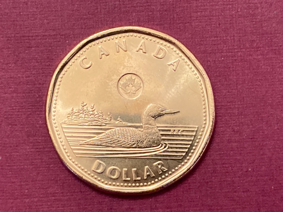 2021-Counterfeit-Loonie?