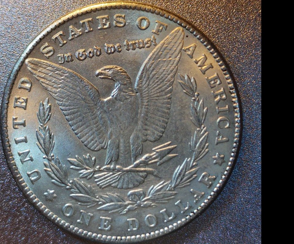 1895-Morgan-Dollar-Possible-Fake?