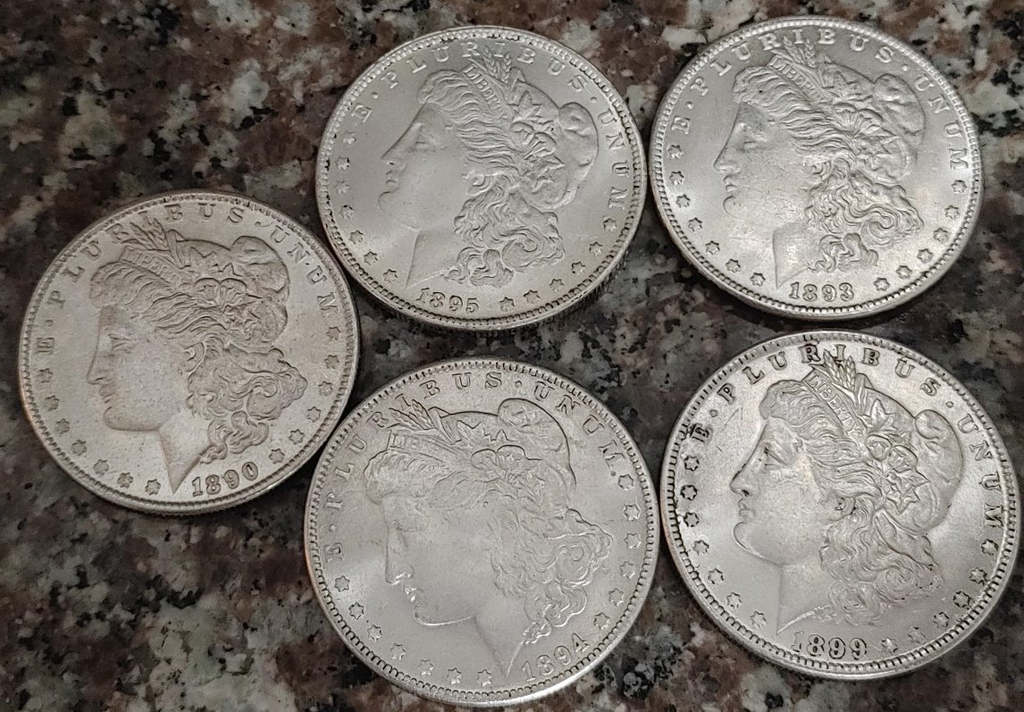 1895-Morgan-Dollar-Possible-Fake?