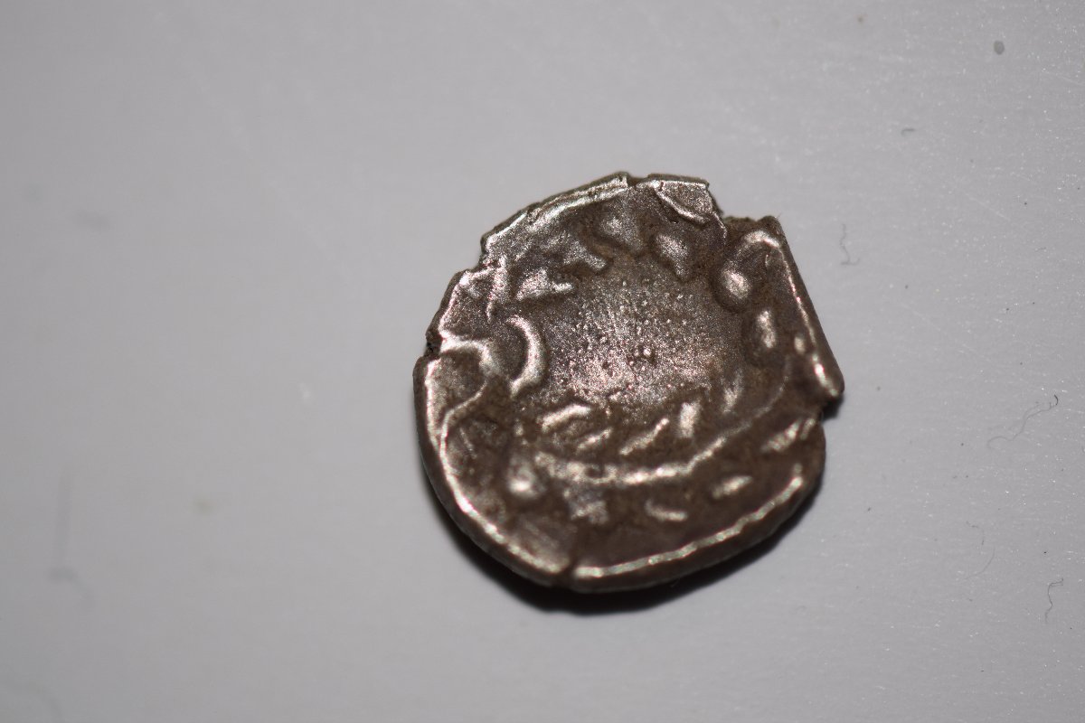 Unknown-Ancient-Turtle-Coin