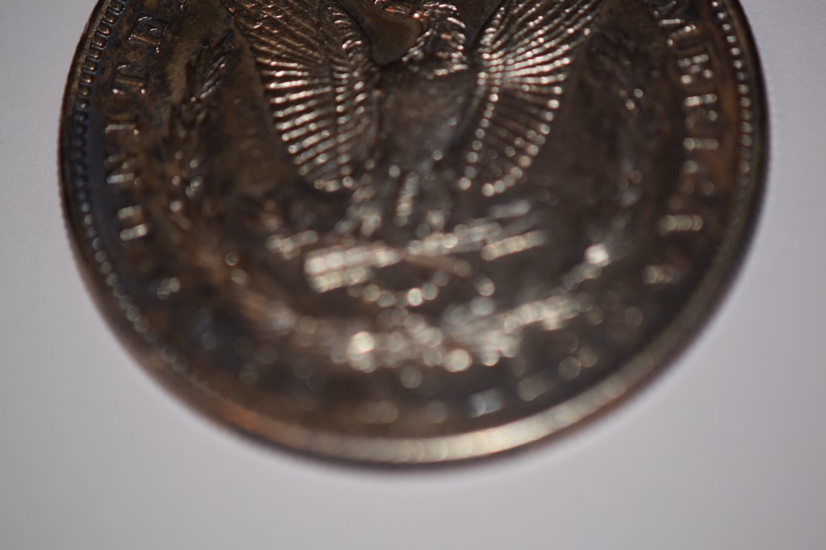 Should-I-Send-This-1892-S-Morgan-In-For-Grading?