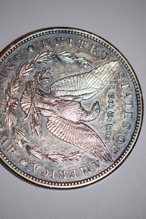 Should-I-Send-This-1892-S-Morgan-In-For-Grading?