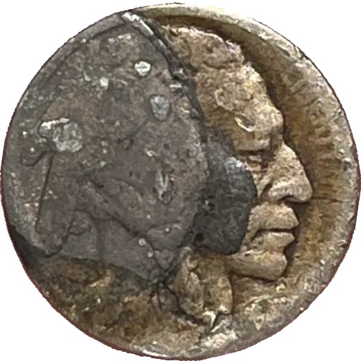 Buffalo-Nickel:-Major-Error?