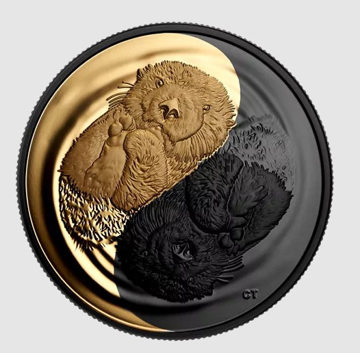 Feeling-About-The-Black-And-Gold-Sea-Otter-Coin.