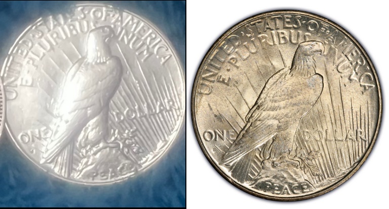 1895-O-Morgan-Dollar-And-1928-S-Peace-Dollar-Grading