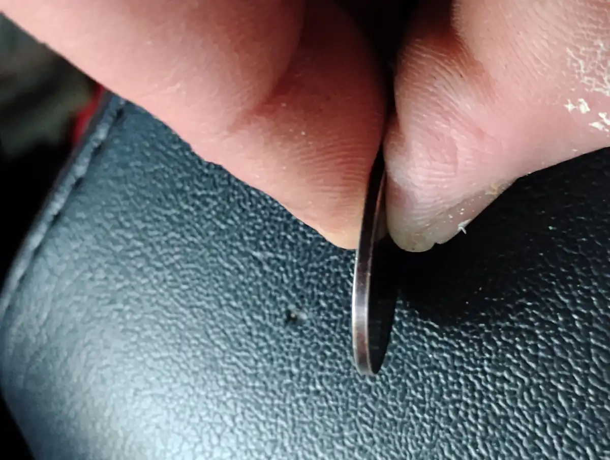 1998-Quarter.-I-Don't-Know-If-This-Has-Been-Purposely-Altered-Or-Not
