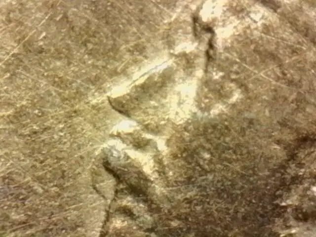 ¼-Anna-Coin-India-1919,-What-Going-On-Here?-Is-It-Multi-Strike,-Double-Die-Or-Machine-Doubling?