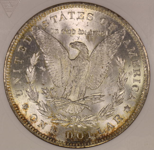 The-28-Days-Of-Morgan-Dollars-Part-4