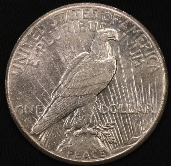 The-11-Days-Of-Peace-Dollars-Part-3