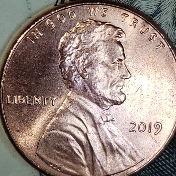 New-Variety?-Thank-You-All-For-You-Feedback-Here-Are-My-Pics.-2019-LSC