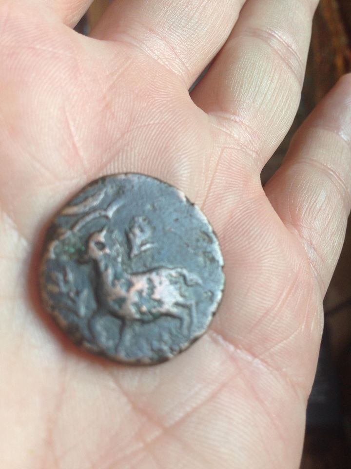 Medieval-Islamic-Coin-Identification