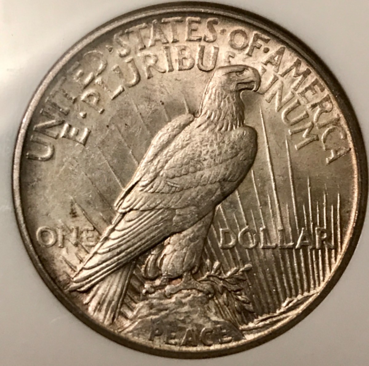 1921-High-Relief-Peace-Dollar