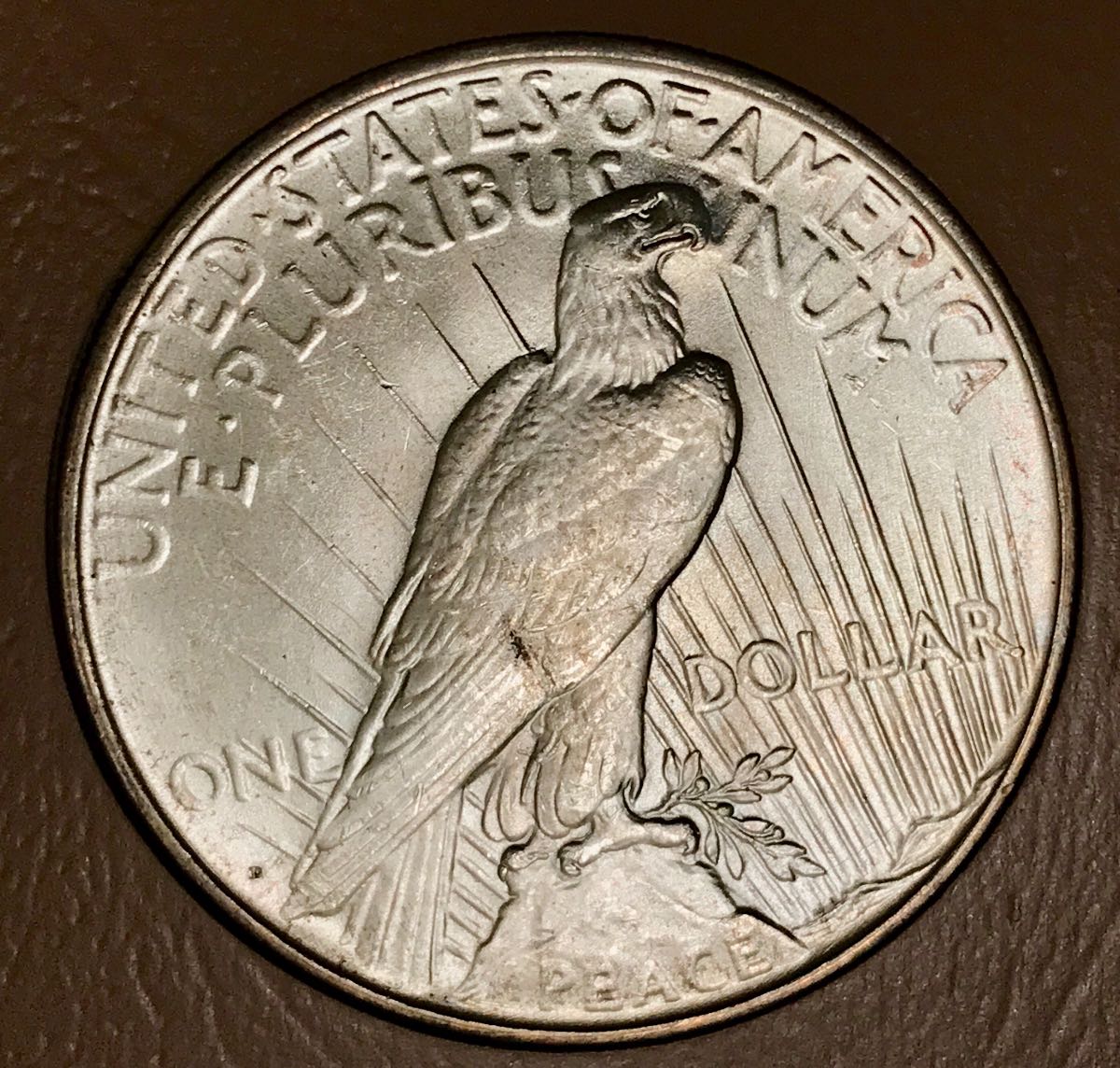 1927-D-Peace-Dollar-Grade