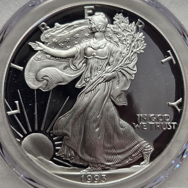 Well,-I-Started-Getting-All-My-ASE's-Graded-By-PCGS