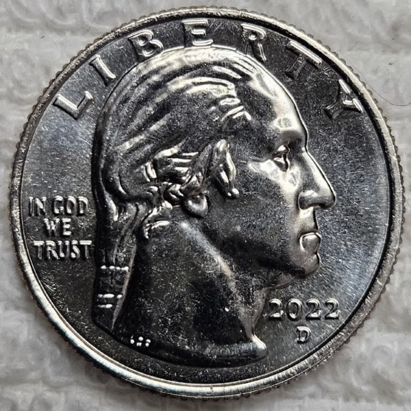 Dearborn's-Completed-Washington-Quarter-Dansco-Collection