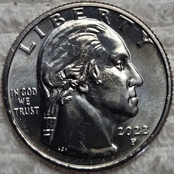 Dearborn's-Completed-Washington-Quarter-Dansco-Collection