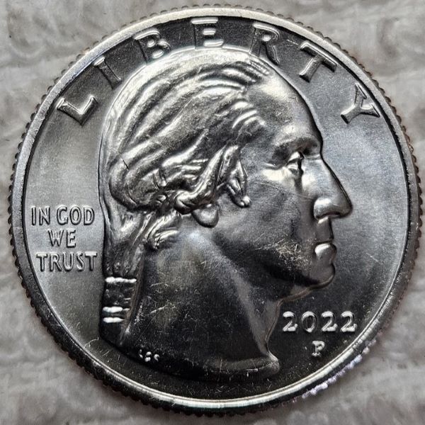 Dearborn's-Completed-Washington-Quarter-Dansco-Collection