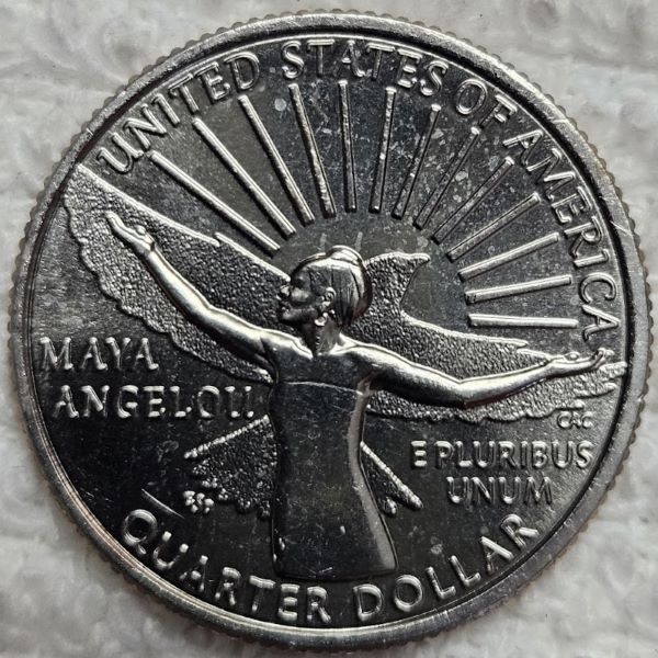 Dearborn's-Completed-Washington-Quarter-Dansco-Collection