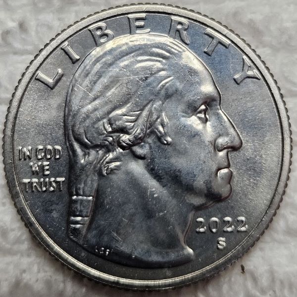 Dearborn's-Completed-Washington-Quarter-Dansco-Collection
