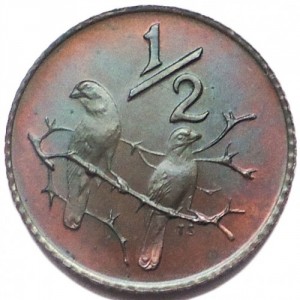 Post-Your-Bird-Coins