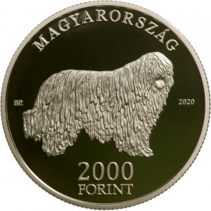 Post-Your-Coins/Medals/Tokens-With-A-Dog