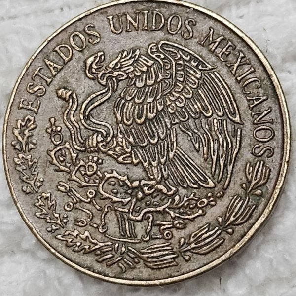 Show-Your-Coins-With-Fruit.