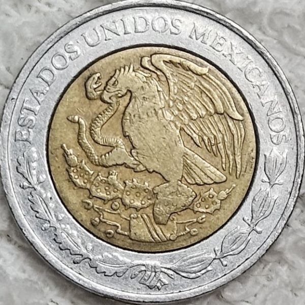 Show-Your-Coins-With-Fruit.