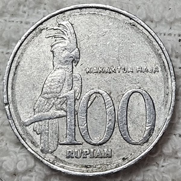 Show-Your-Coins-With-Fruit.