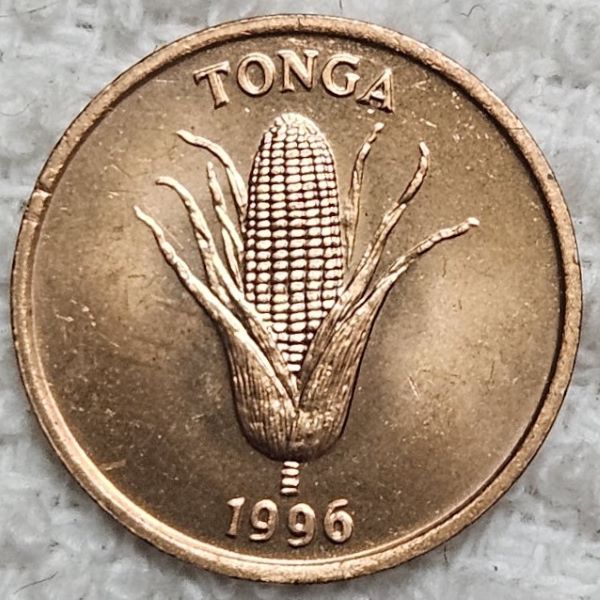Show-Your-Coins-With-Fruit.