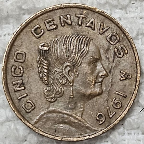 Show-Your-Coins-With-Fruit.