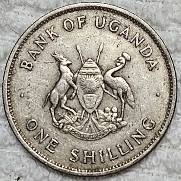 Bring-Out-Your-KM#5-Or-Y#5-Coins-For-Show-&-Tell