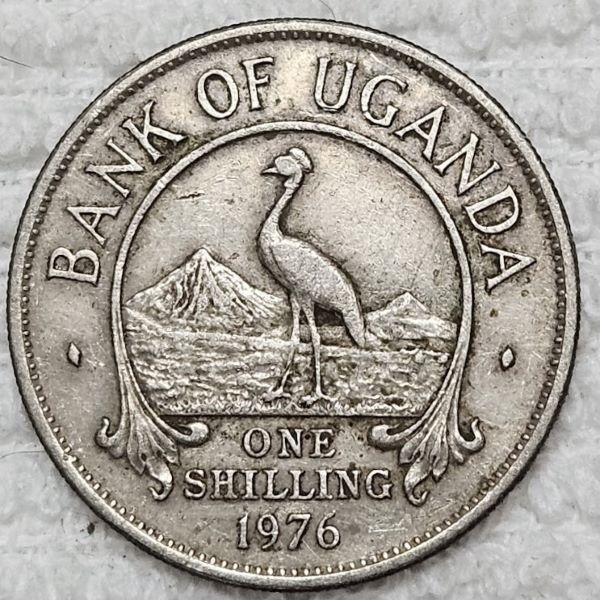 Bring-Out-Your-KM#5-Or-Y#5-Coins-For-Show-&-Tell