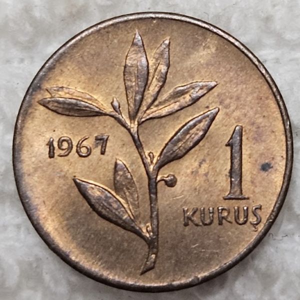 Post-Your-Tiny-Coins!